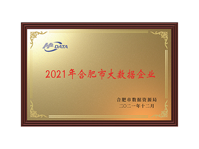 Hefei Big Data Enterprise im Jahr 2021