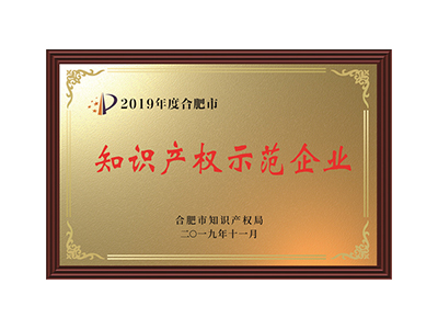 Demonstrationsunternehmen für geistiges Eigentum